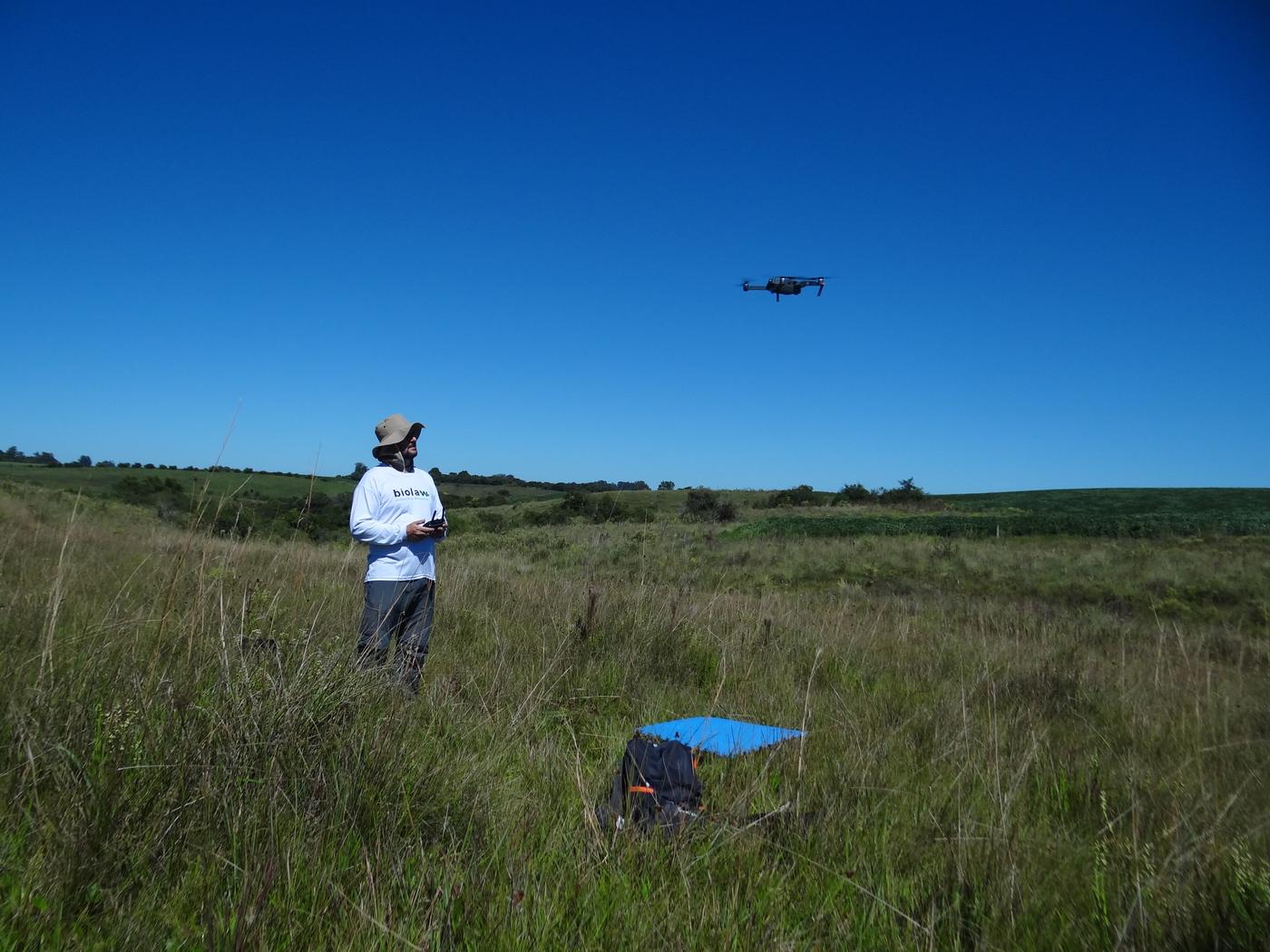 Técnico da Biolaw operando drone durante levantamento de fauna na área do Complexo Eólico Pampeiro